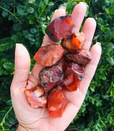 Divinity Natural Red Carnelian Stones - Raw Rough Stones (100 to 150 Grams) | Hand Picked Pack of 1 to 4 Beautiful Natural Crystal Stones