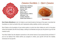 Natural Red Carnelian Raw Stones - 100 to 150 Grams | Pack of 1 to 4 Beautiful Natural Rough Crystals