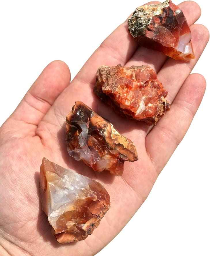 Divinity Natural Red Carnelian Stones - Raw Rough Stones (100 to 150 Grams) | Hand Picked Pack of 1 to 4 Beautiful Natural Crystal Stones