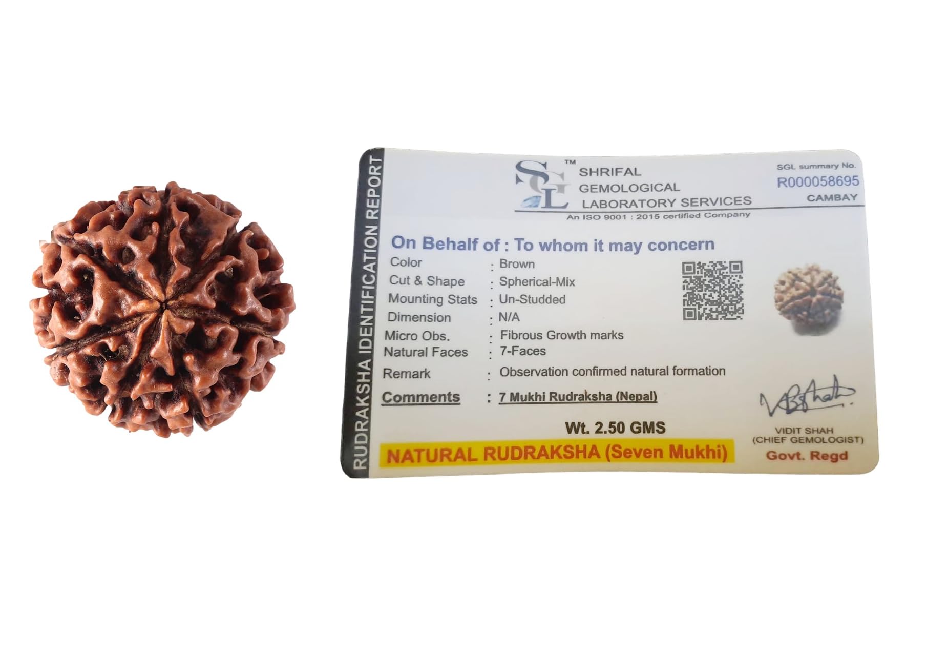 Divinity Crystals Nepalese 7 Mukhi Rudraksha Big Size Lab Certified for Wealth, Name, Fame, and Success Original 7 Face Rudraksha for Wealth Default Title