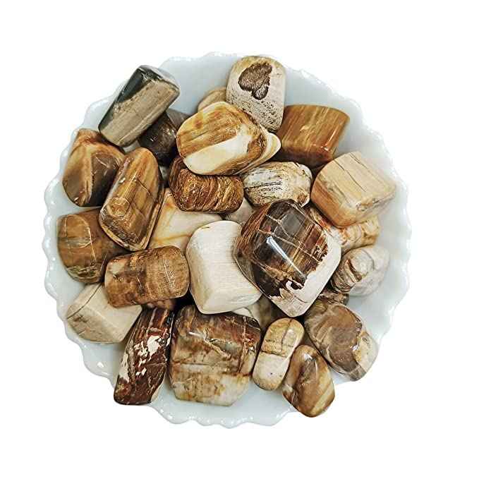 Natural AAA Grade Tumble Pebbles Stones for Reiki Healing Home Decoration and Vastu Correction Love Relationship and Financial Abundance, Wealth, Will Power and Prosperity Petrified Wood